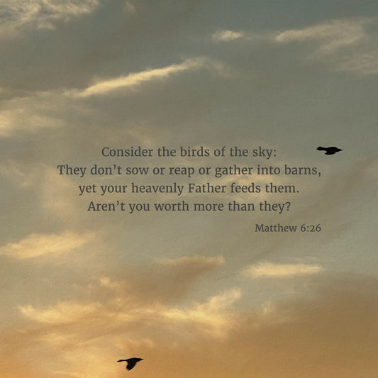 Matthew 6:26 CSB - Heaven & Nature Co. Scripture Print - Close Up