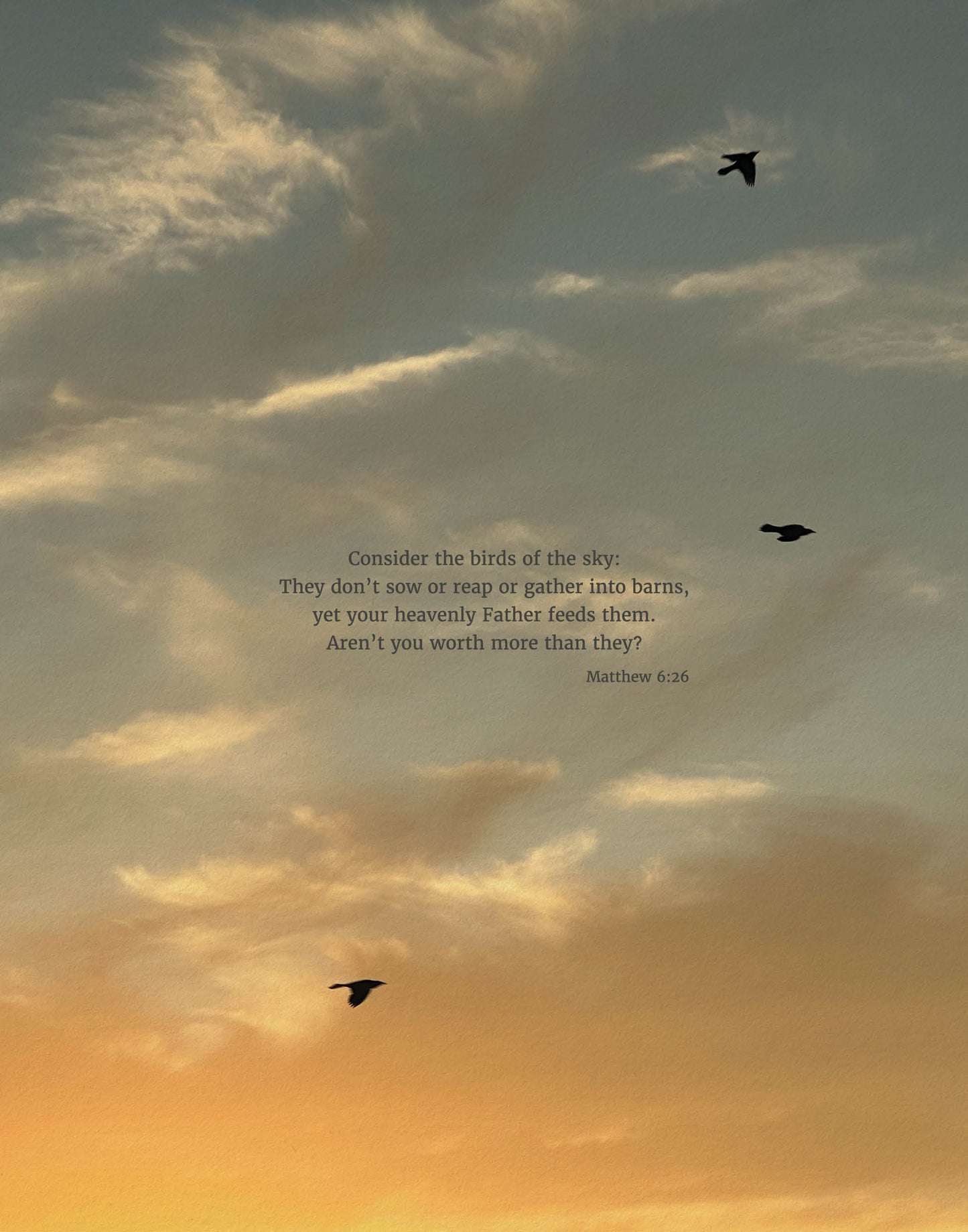 Matthew 6:26 CSB - Heaven & Nature Co. Scripture Print - 11x14 No Frame