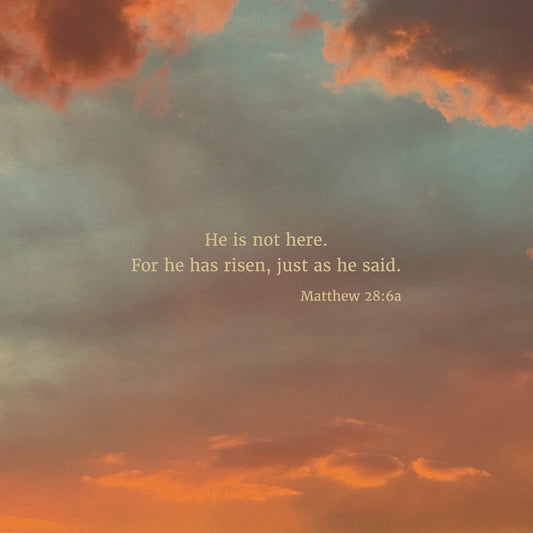 Matthew 28:6a CSB - Heaven & Nature Co. Scripture Print - Close Up