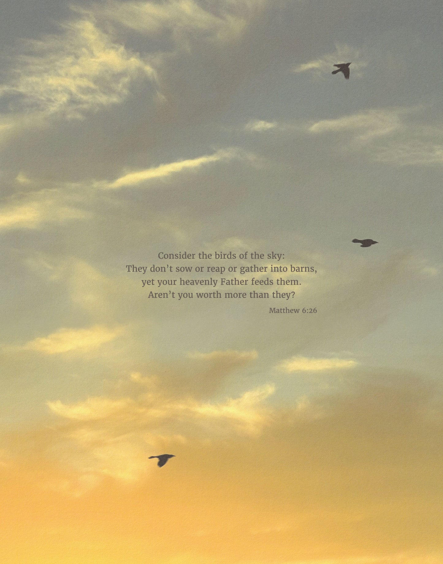 Scripture art print with Matthew 6:26 on a sunset summer sky with three black birds flying. 11x14