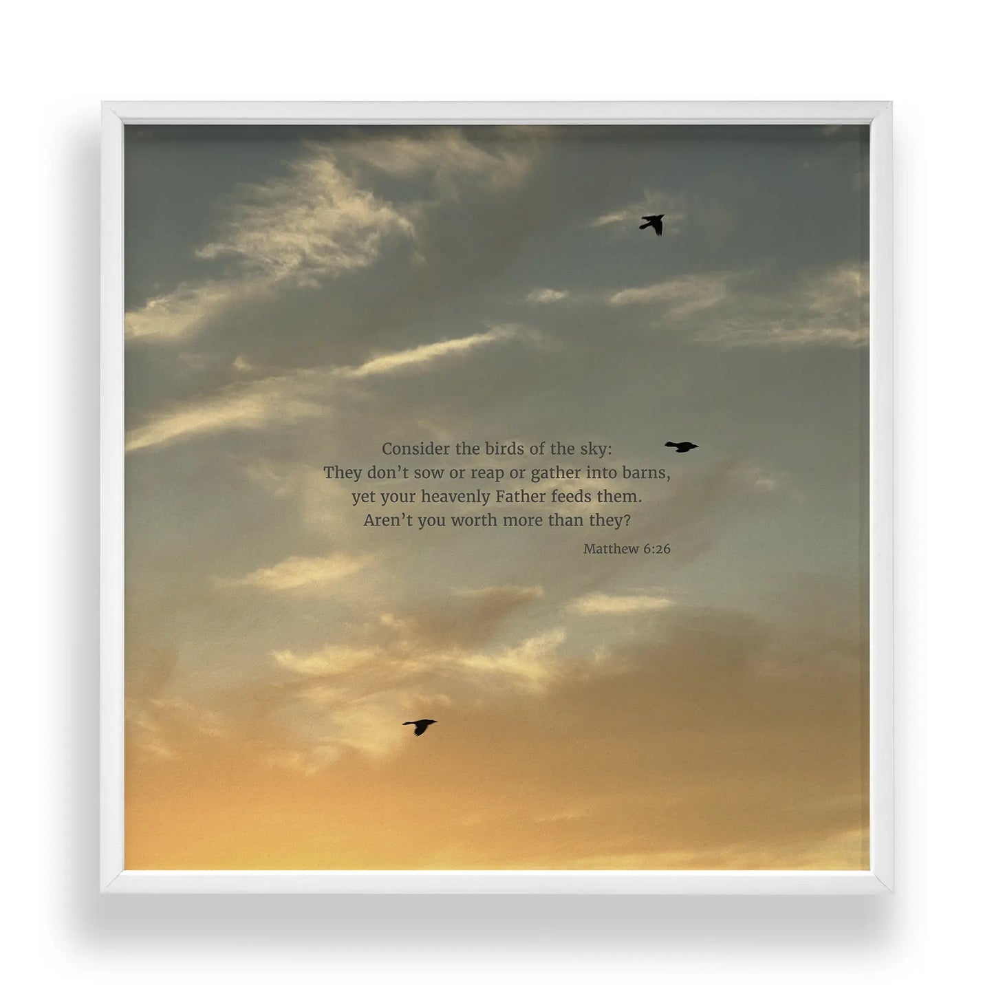Matthew 6:26 CSB - Heaven & Nature Co. Scripture Print - Standard 10x10 Frame Mockup
