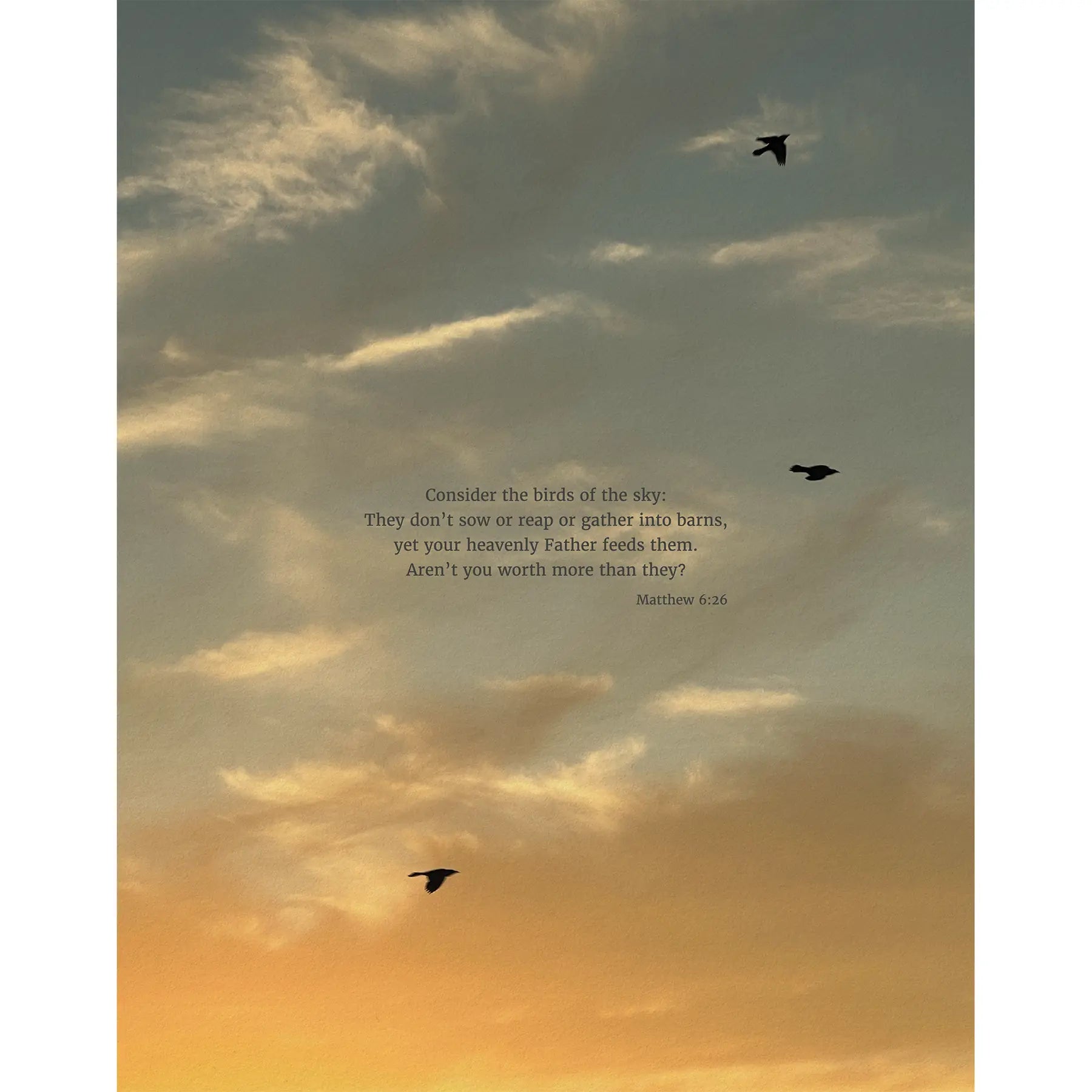 Matthew 6:26 CSB - Heaven & Nature Co. Scripture Print - 11x14 No Frame