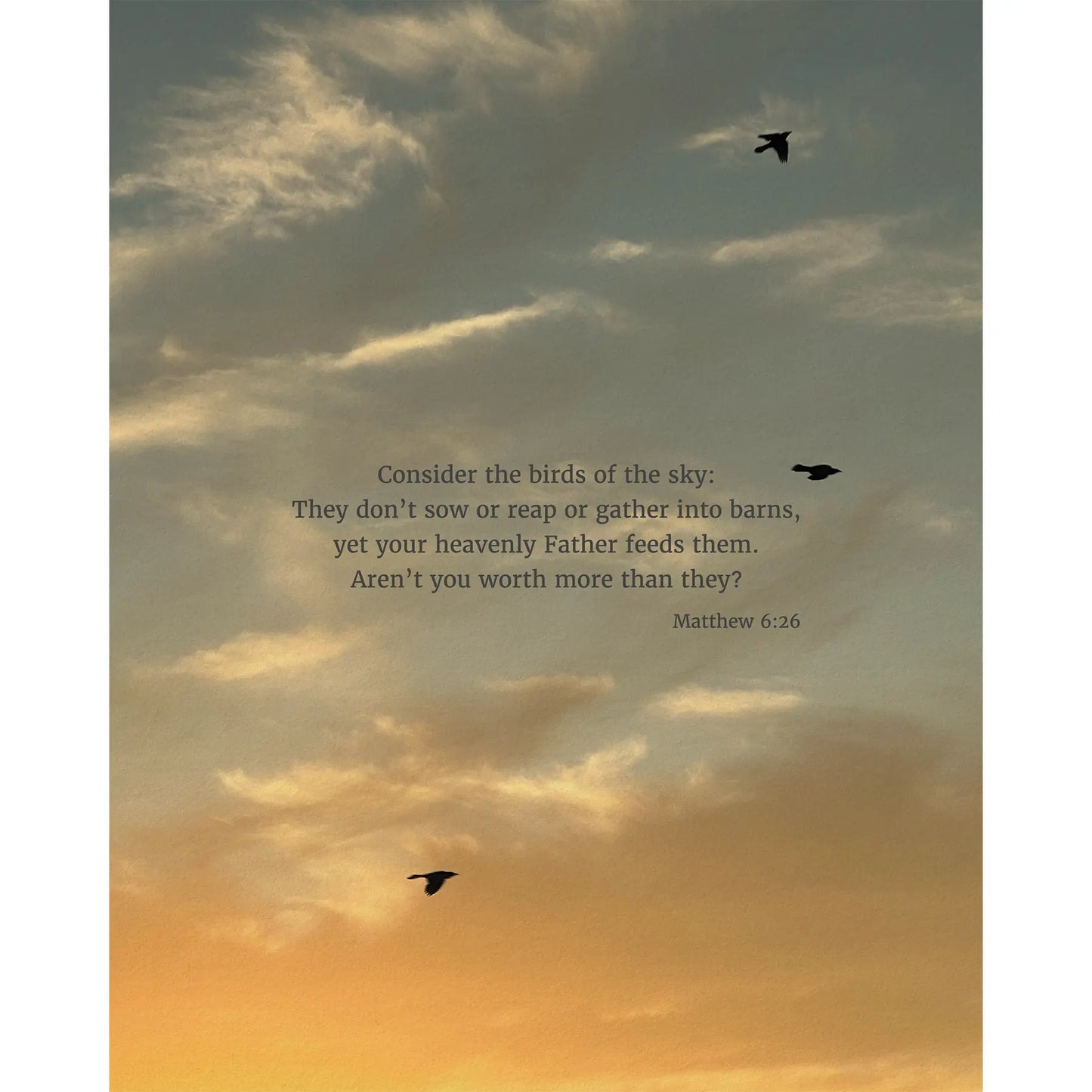 Matthew 6:26 CSB - Heaven & Nature Co. Scripture Print - 8x10 No Frame