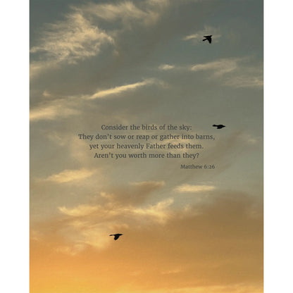 Matthew 6:26 CSB - Heaven & Nature Co. Scripture Print - 8x10 No Frame