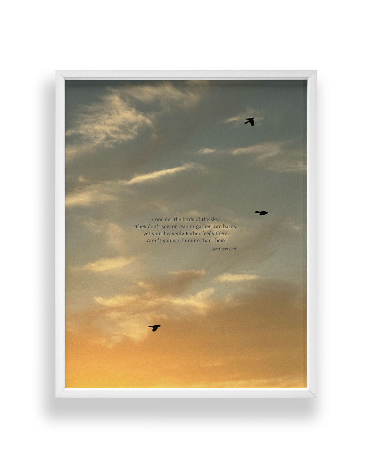 Matthew 6:26 CSB - Heaven & Nature Co. Scripture Print - Standard 11x14 Frame Mockup