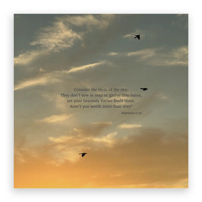 Matthew 6:26 CSB - Heaven & Nature Co. Scripture Print - 10x10 No Frame
