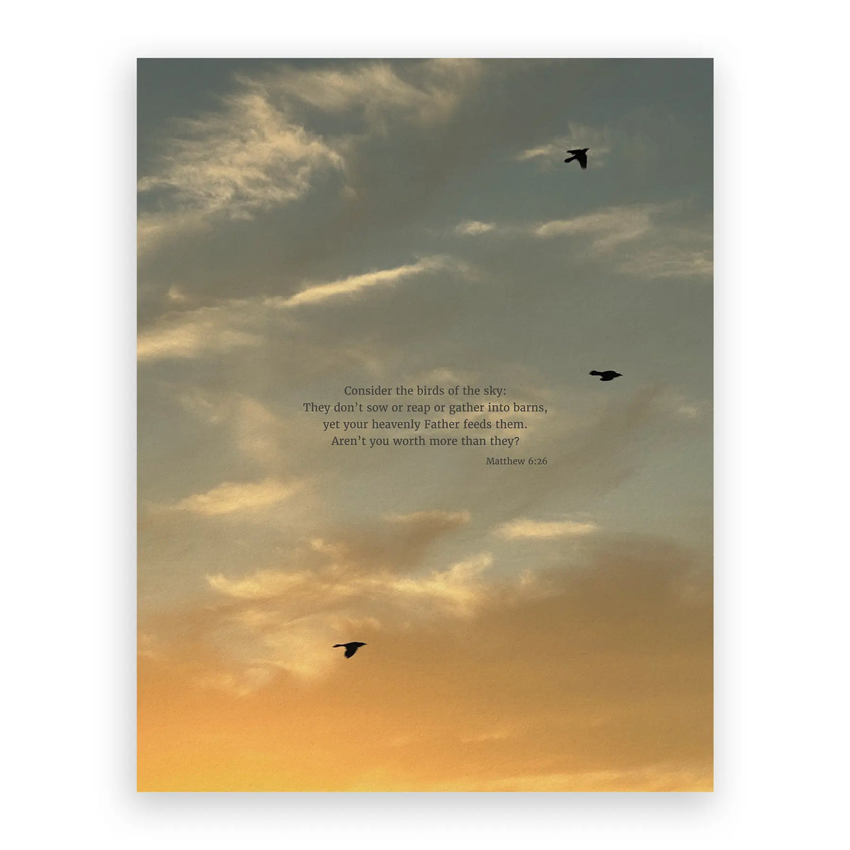 Matthew 6:26 CSB - Heaven & Nature Co. Scripture Print - 11x14 No Frame