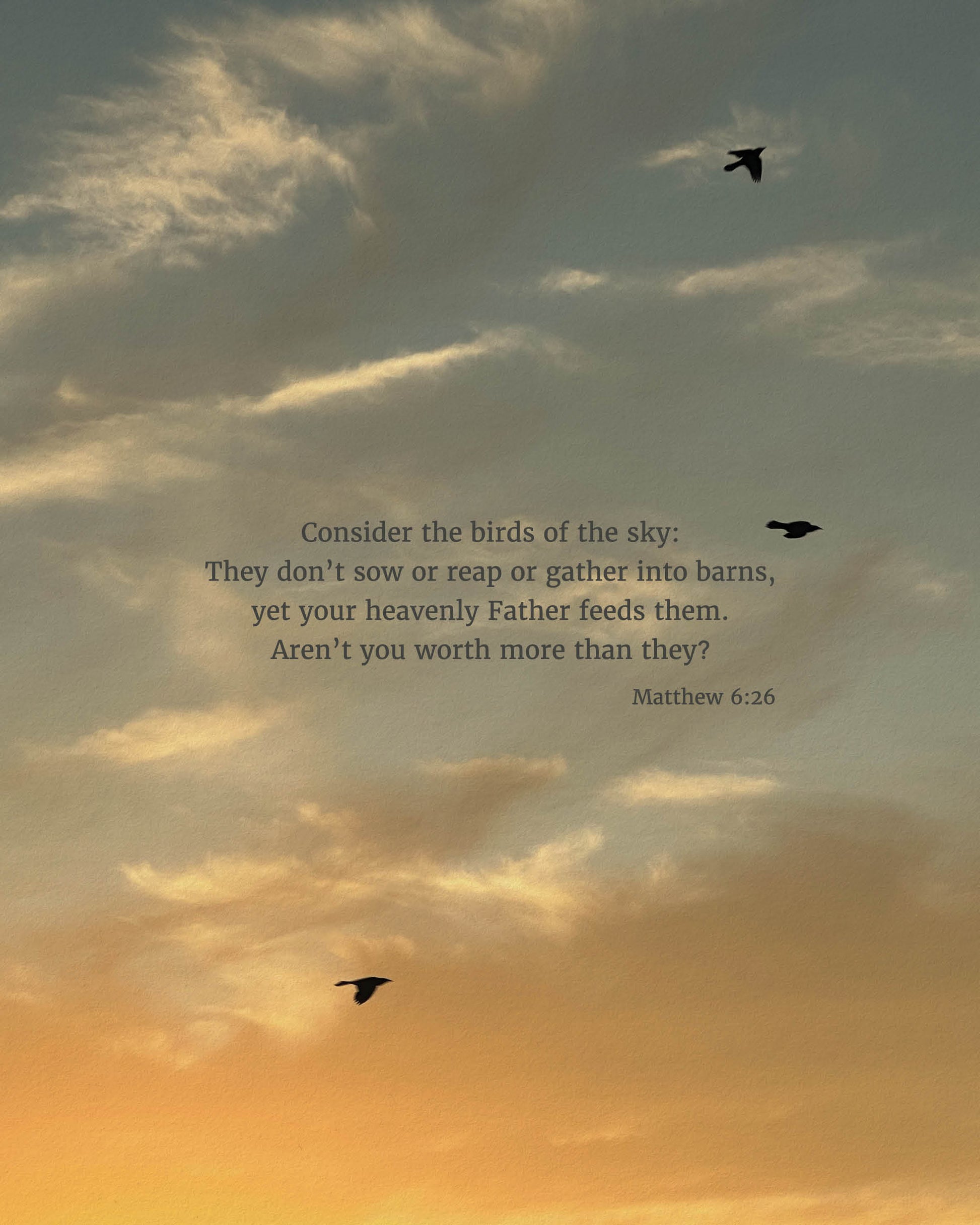Matthew 6:26 CSB - Heaven & Nature Co. Scripture Print - 8x10 No Frame