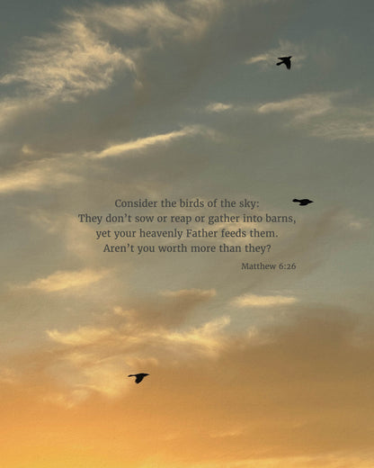 Matthew 6:26 CSB - Heaven & Nature Co. Scripture Print - 8x10 No Frame