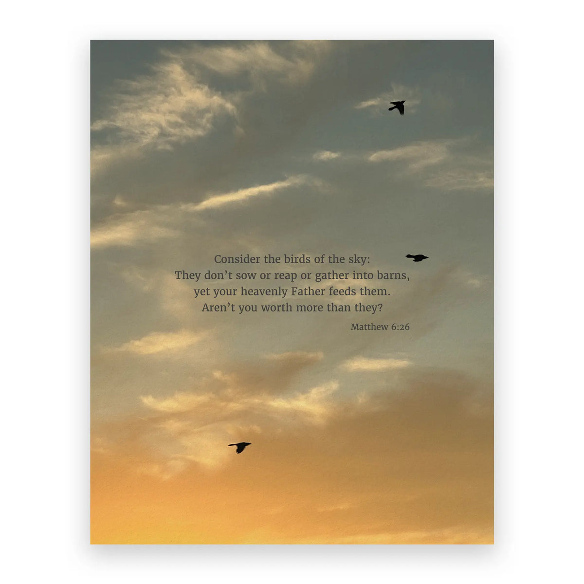 Matthew 6:26 CSB - Heaven & Nature Co. Scripture Print - 8x10 No Frame