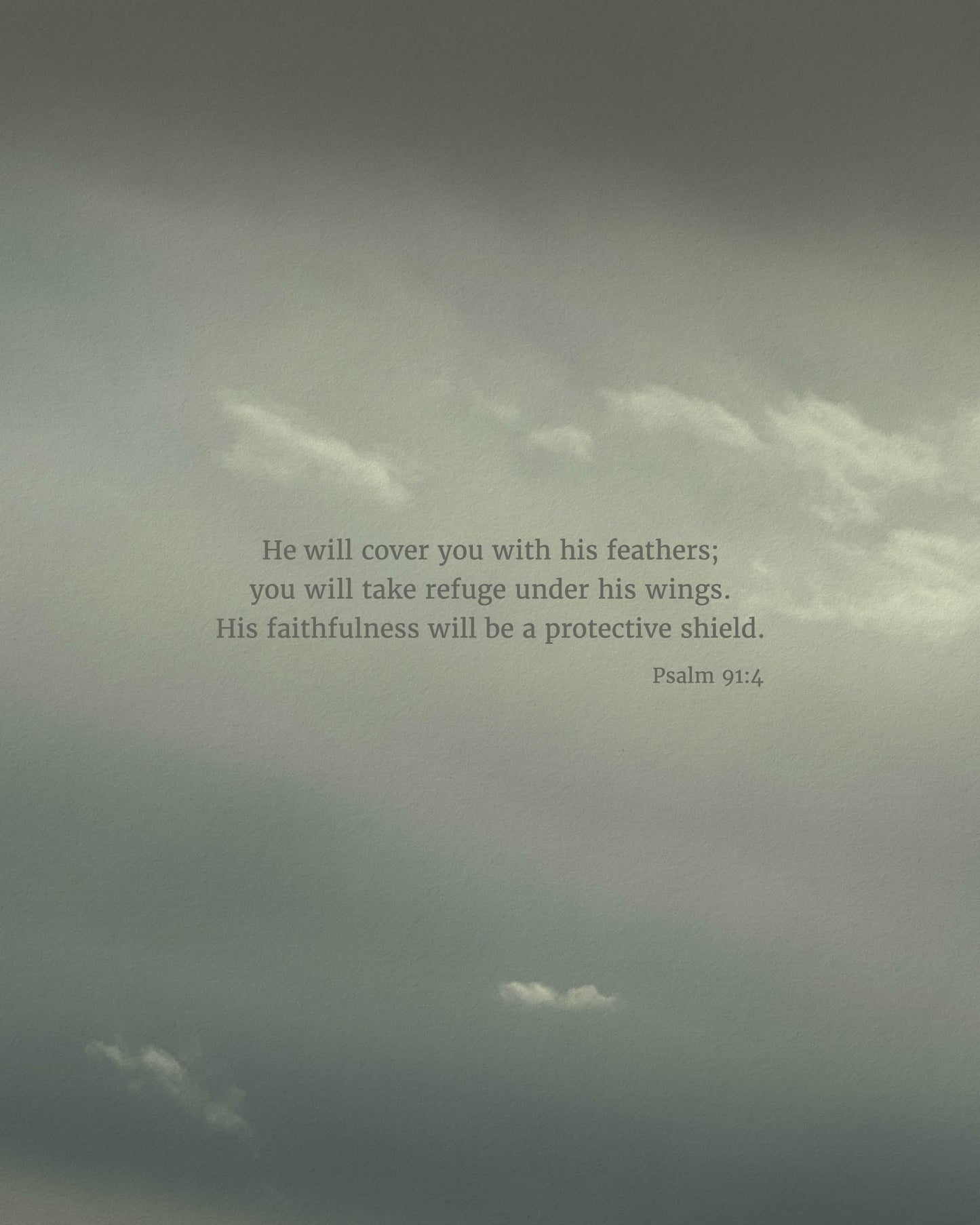 Protective Shield (Psalm 91:4)