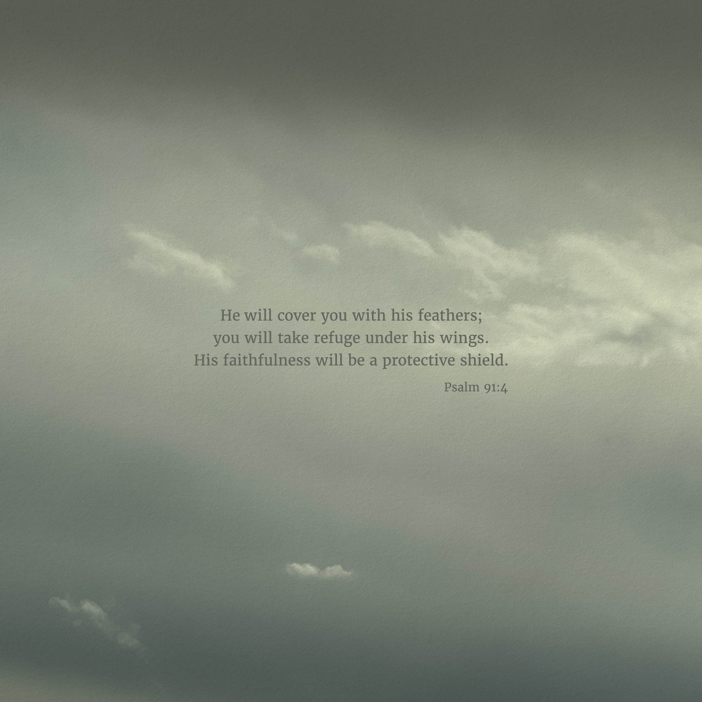 Protective Shield (Psalm 91:4)