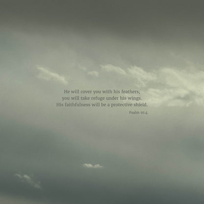 Protective Shield (Psalm 91:4)