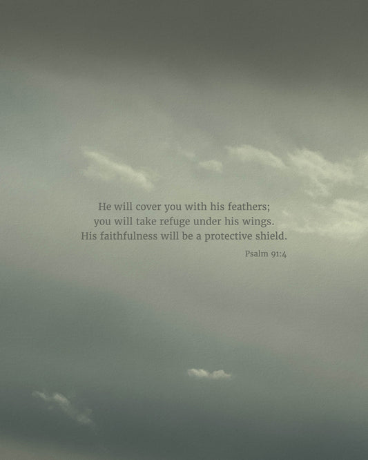 Protective Shield (Psalm 91:4)