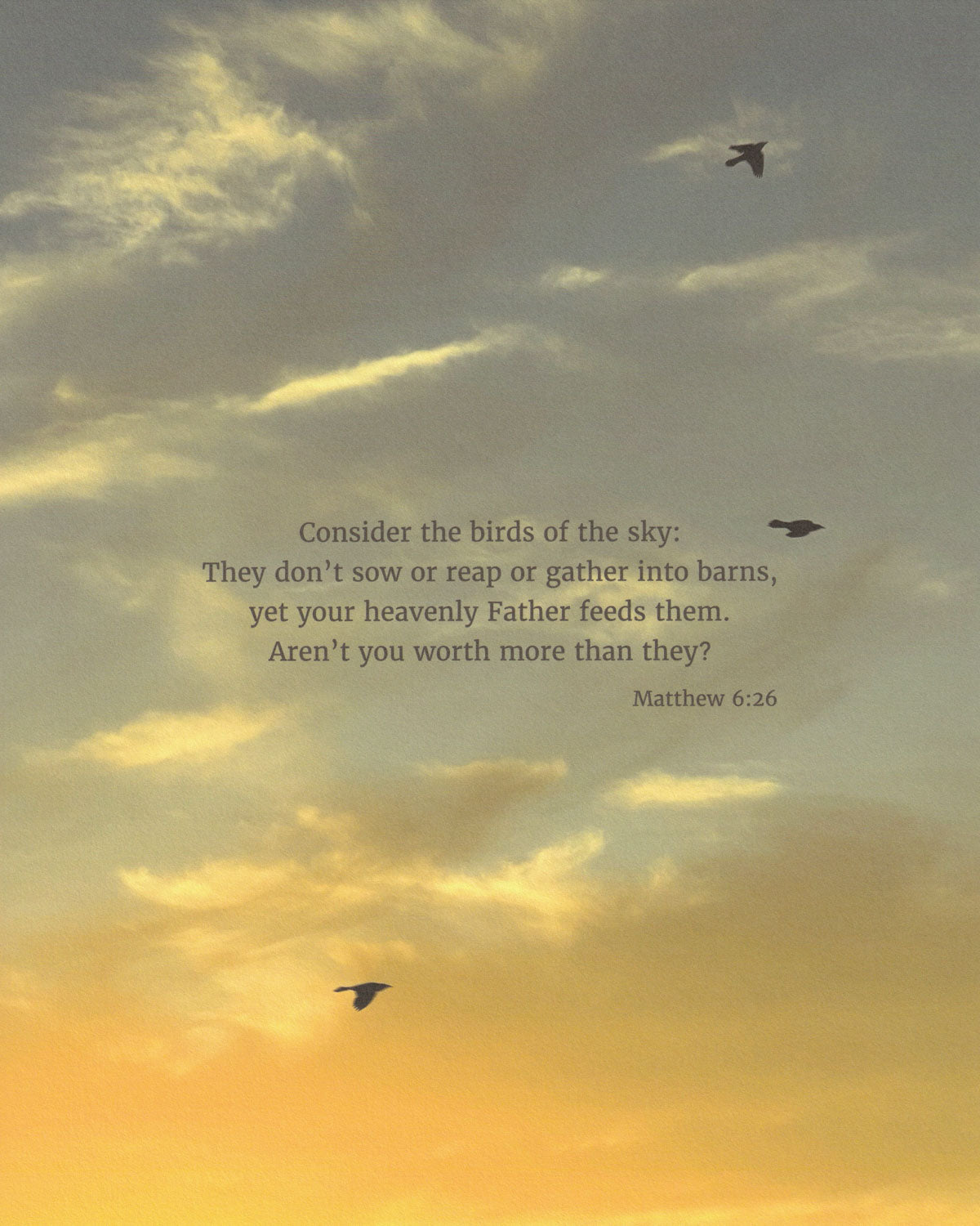Heaven & Nature Co. Matthew 6:26 CSB scripture art from nature print